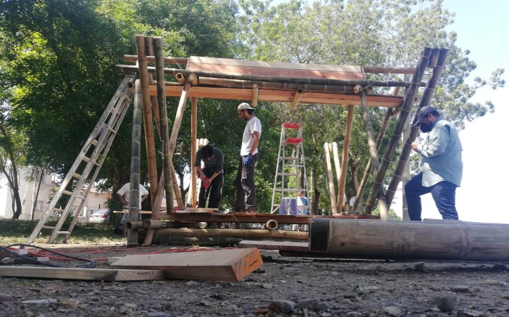 Proyecto 6